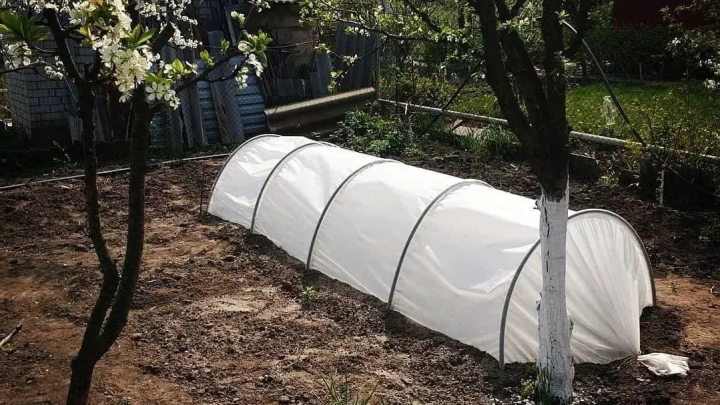 Купити агроволокно - Для захисту рослин Парники з агроволокна 60 г/м2