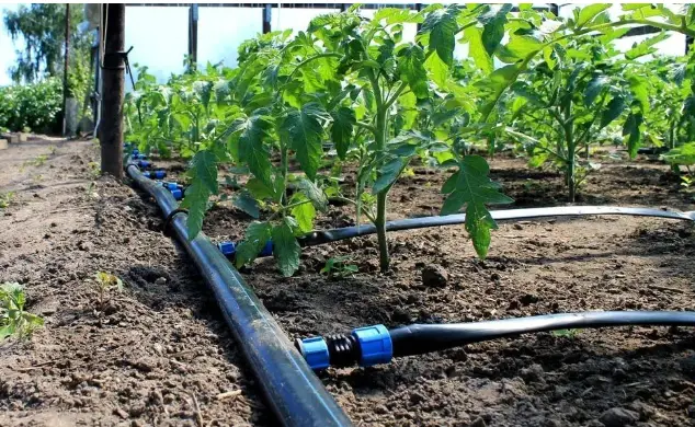 Фітінги для крапельного поливу