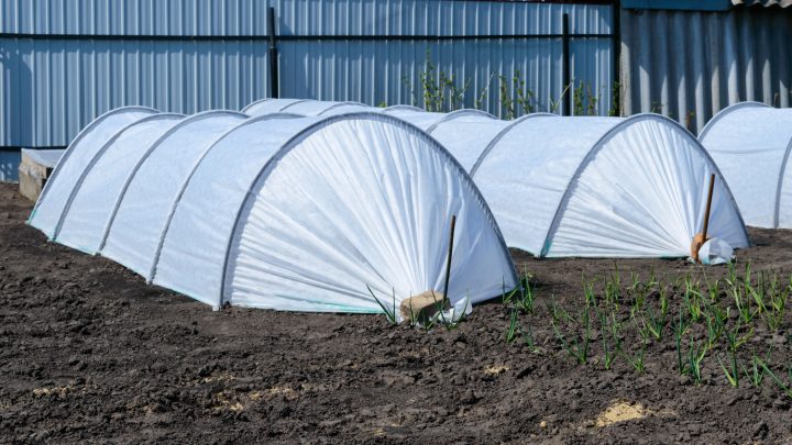 Парник 120×160 м 60 г/м²