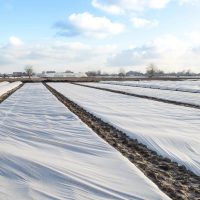 Агроволокно 60 г/м2 біле 3,2*5 м